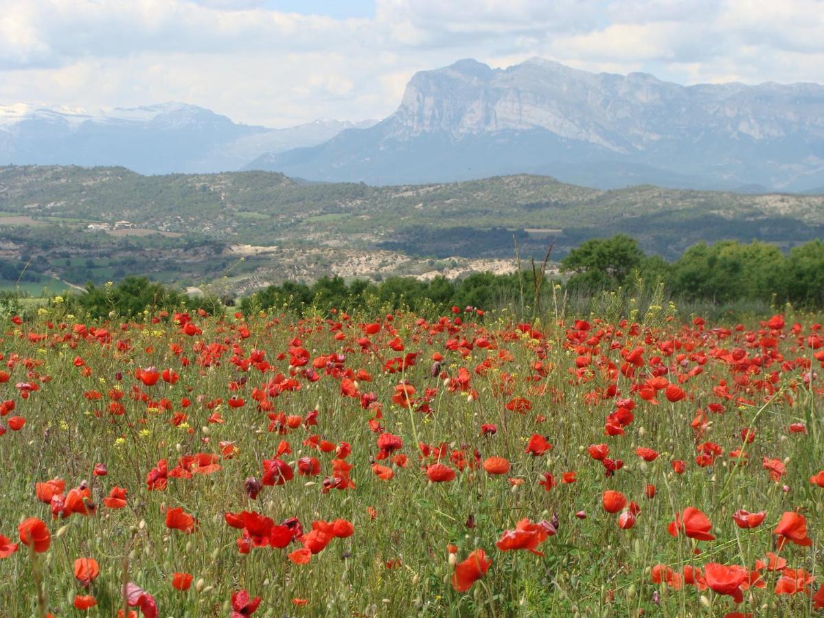Paules Apartamento Sierra De Guara 아파트 외부 사진